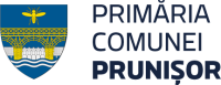 logo-mare-prunisor